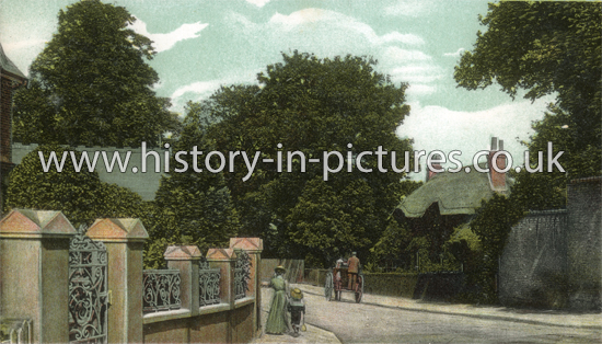 Thatched Cottages, Palmers Green, London. c.1905